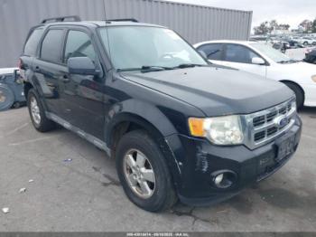  Salvage Ford Escape