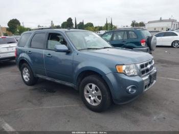  Salvage Ford Escape