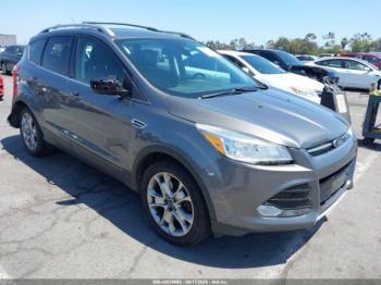  Salvage Ford Escape