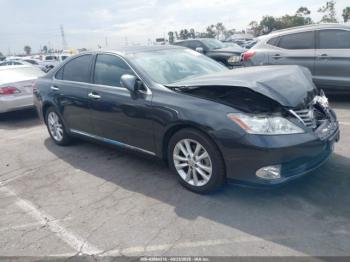  Salvage Lexus Es