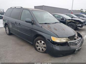  Salvage Honda Odyssey