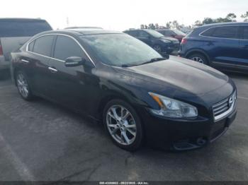  Salvage Nissan Maxima