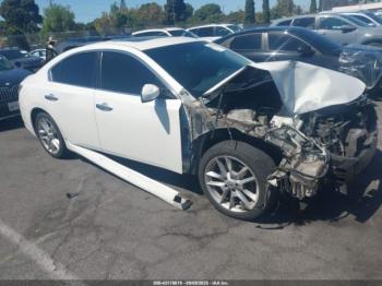  Salvage Nissan Maxima