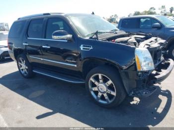  Salvage Cadillac Escalade
