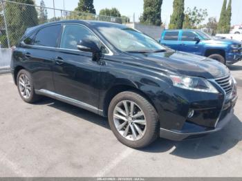  Salvage Lexus RX