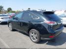 Lexus RX Image 2