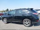 Lexus RX Image 14