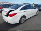 Hyundai SONATA Limited Image 7