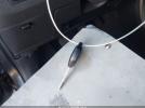 Scion xD Image 8