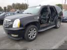 Cadillac Escalade Standard Image 5