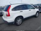 Honda CR-V Ex Image 5