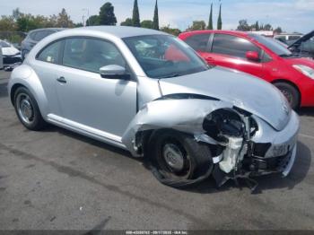  Salvage Volkswagen Beetle