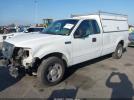 Ford F-150 Image 3