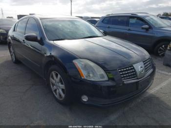  Salvage Nissan Maxima