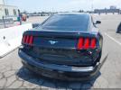 Ford Mustang Ecoboost Image 6