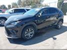 Lexus NX F Sport Image 3