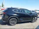 Lexus NX F Sport Image 11