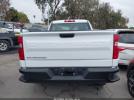 Chevrolet Silverado 1500 2wd  Standard Bed Wt Image 16
