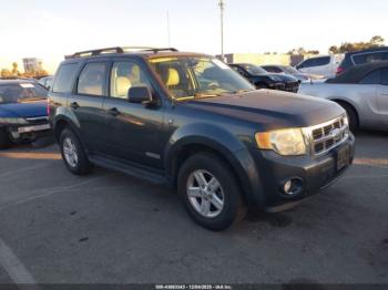  Salvage Ford Escape