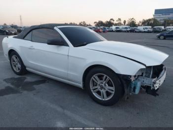  Salvage Ford Mustang
