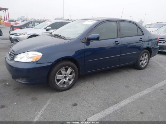 Toyota Corolla Le Image 8