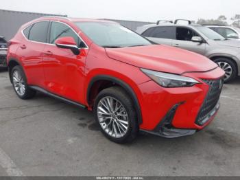  Salvage Lexus NX