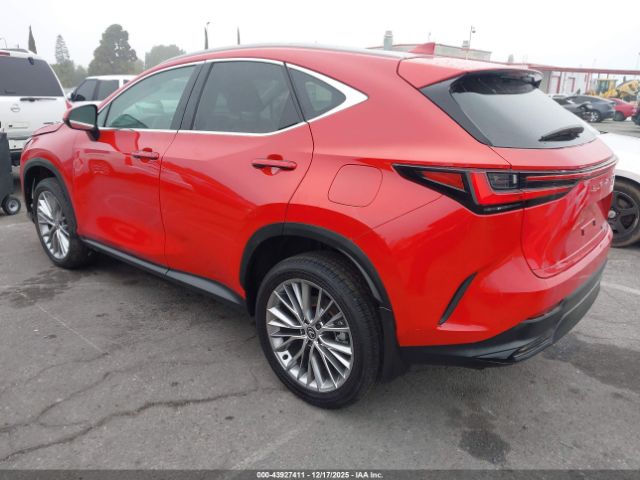 Lexus NX Premium Image 4