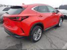Lexus NX Premium Image 9