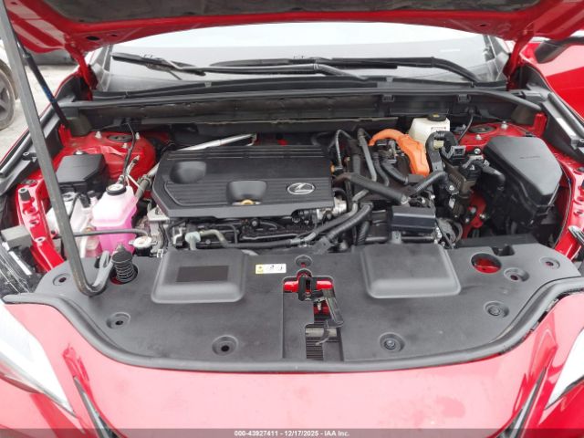 Lexus NX Premium Image 7