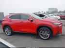 Lexus NX Premium Image 2