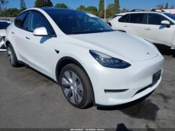  Salvage Tesla Model Y