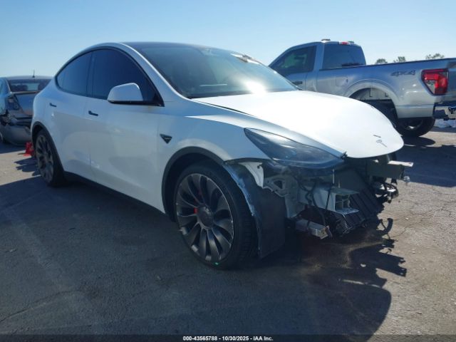 Tesla Model Y Performance Dual Motor All-wheel Drive Image 1