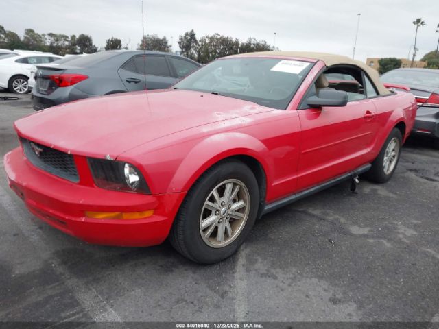 Ford Mustang V6 Image 7