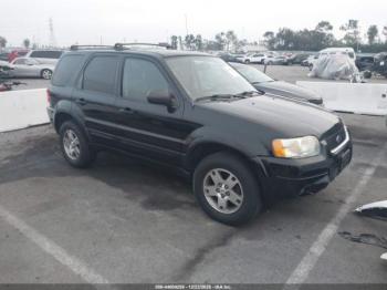  Salvage Ford Escape