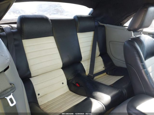 Ford Mustang Image 3