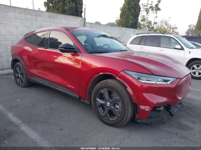 Ford Mustang Select Image 1