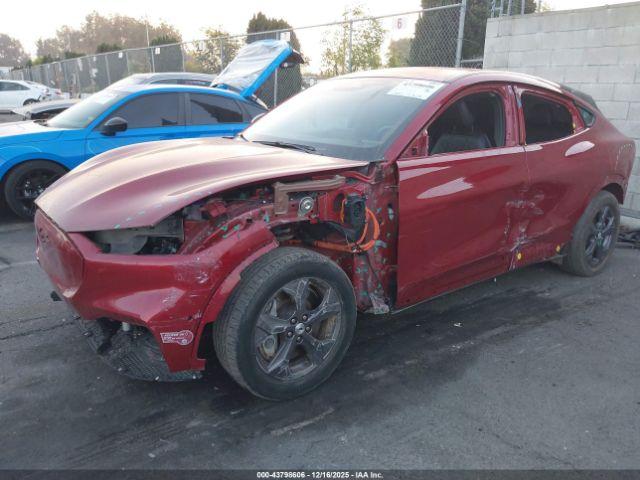 Ford Mustang Select Image 5