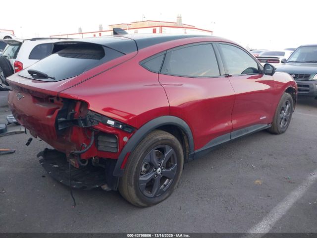 Ford Mustang Select Image 7