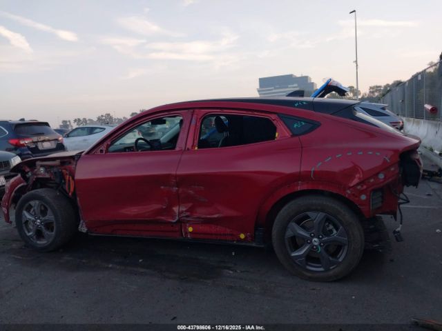 Ford Mustang Select Image 13