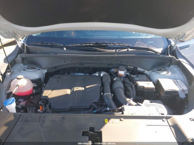 Kia Sorento X-line Sx Image 12