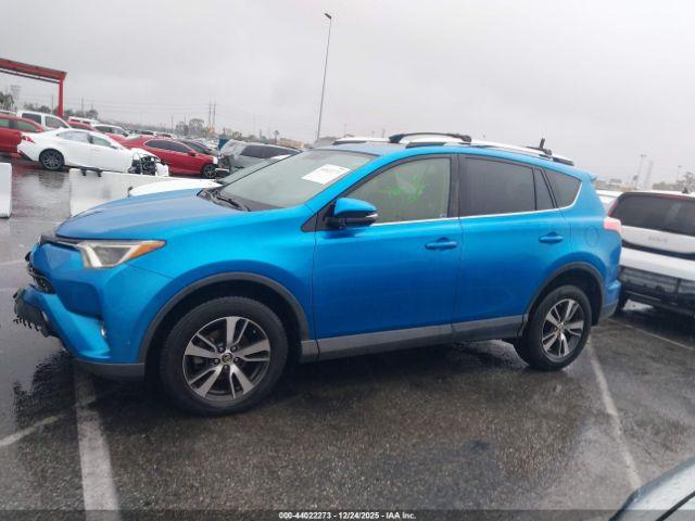 Toyota RAV4 Xle Image 15