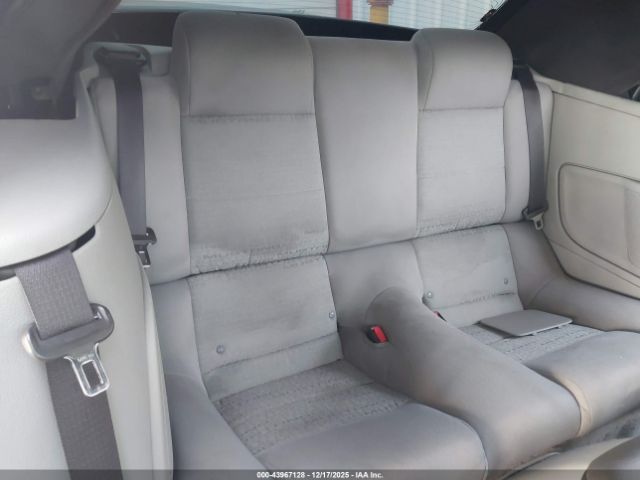 Ford Mustang Image 3