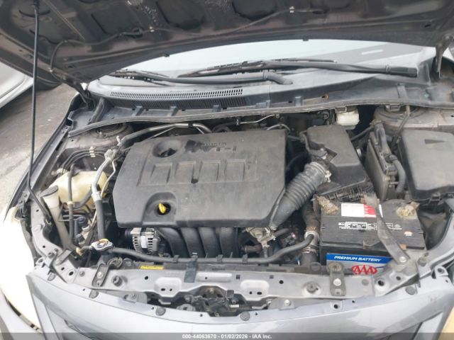 Toyota Corolla Le Image 8