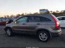 Honda CR-V Ex-l Image 14
