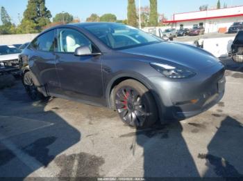  Salvage Tesla Model Y