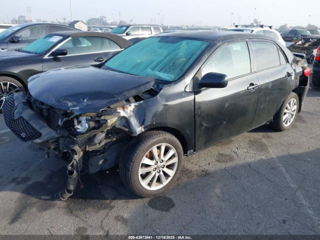 Toyota Corolla S Image 10