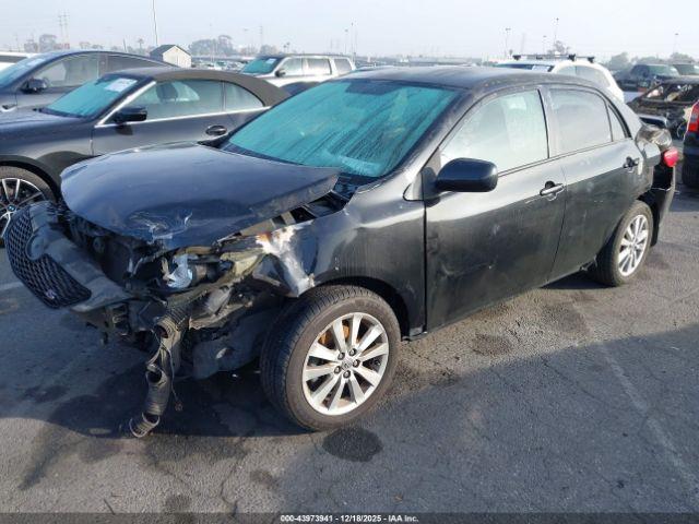 Toyota Corolla S Image 10