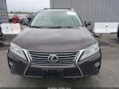 Lexus RX Image 2