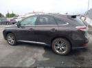 Lexus RX Image 17