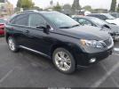 Lexus RX Image 1